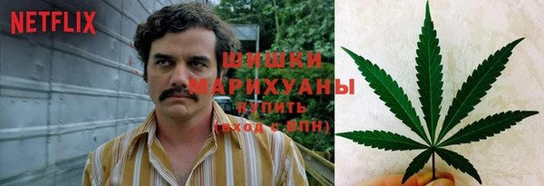 стафф Аркадак