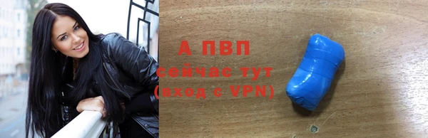 стаф Россошь