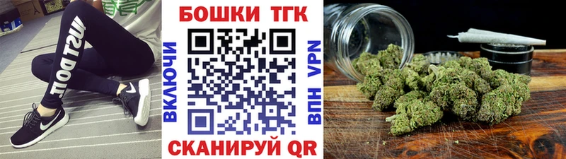 Конопля сатива  Бакал 